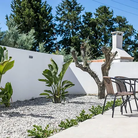 Villa Vama & F *